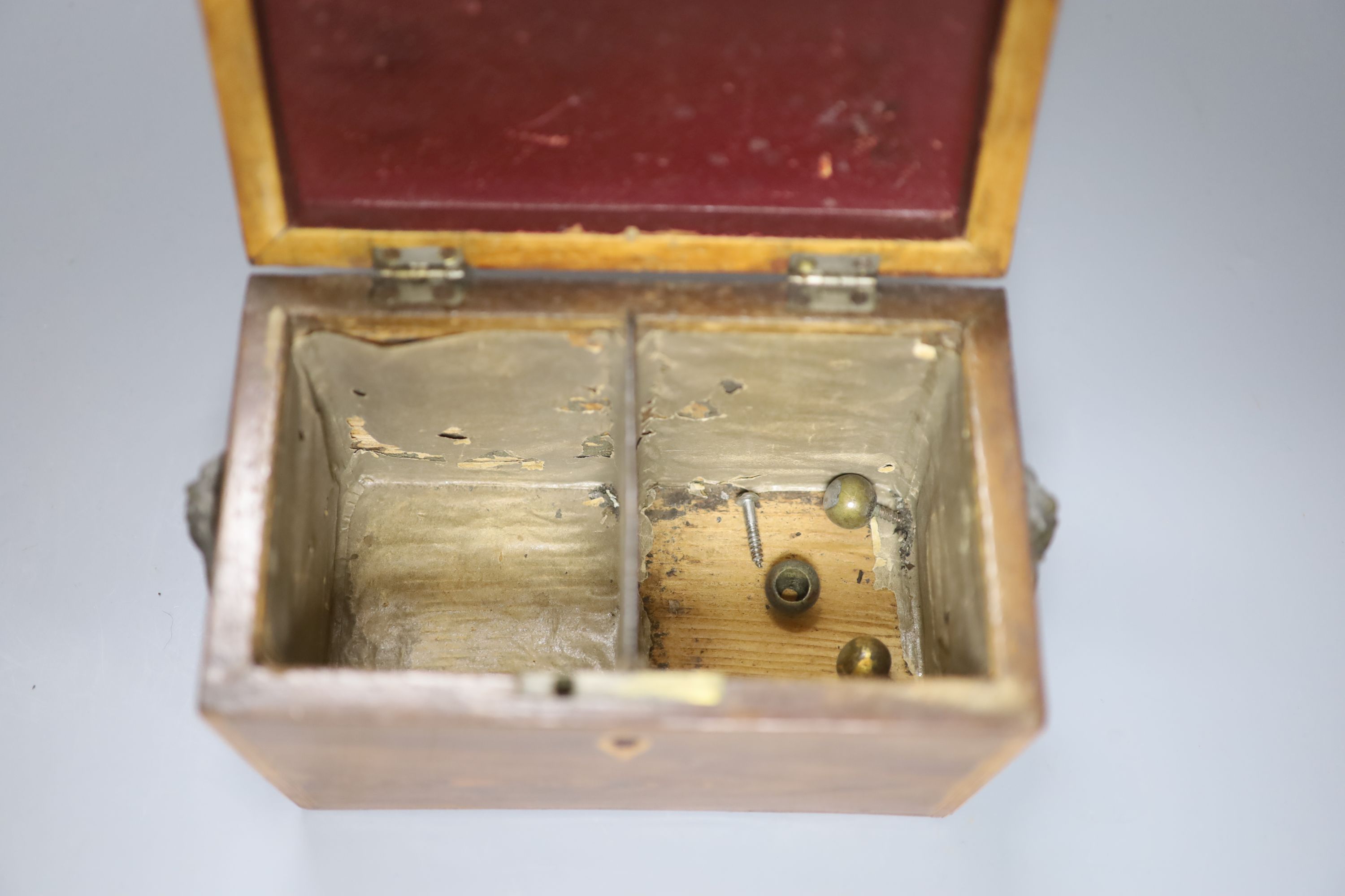 A Regency kingwood? tea caddy, length 20cm